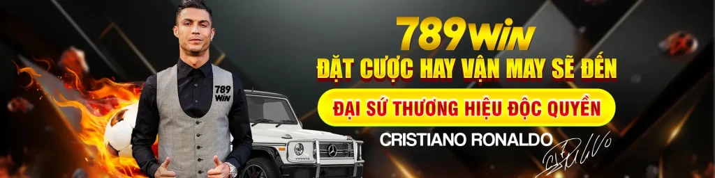 Đại sứ thương hiệu ronaldo